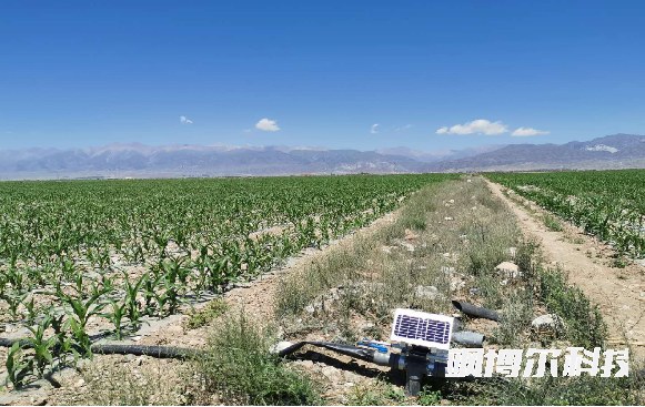 新疆天莱牧业集团有限责任公司（3200亩）